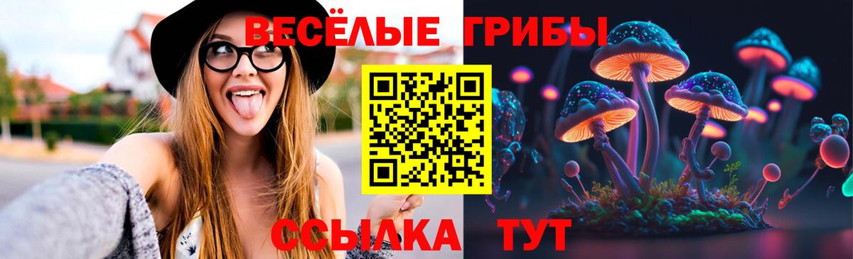 купить закладку  Псилоцибиновые грибы MAGIC MUSHROOMS  Вход с VPN  Киров 